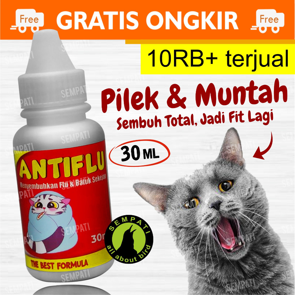 SEMPATI Obat Kucing Anti Flu Batuk Pilek Antibiotik Kucing Kitten Anabul Atasi Bersin Sariawan Infek