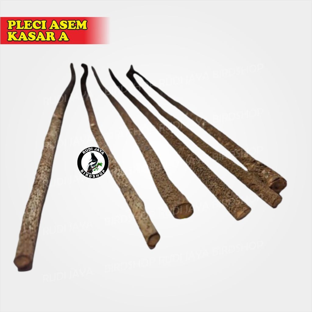 SEDIA TANGKRINGAN BURUNG PLECI KONIN SOGON KAYU ASEM JAWA TETEHAN ASEM BALI KASAR AMPLAS ASLI