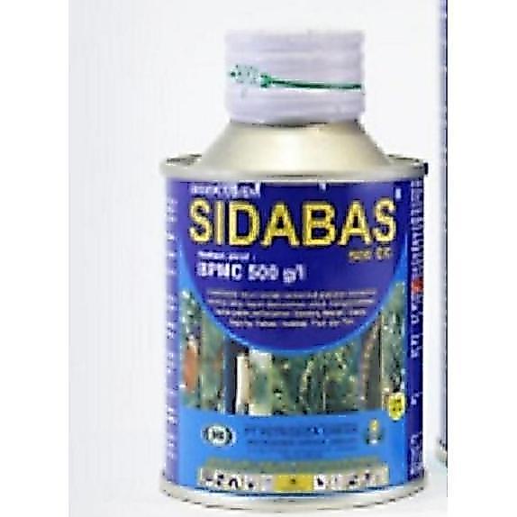 Sidabas 100 Ml