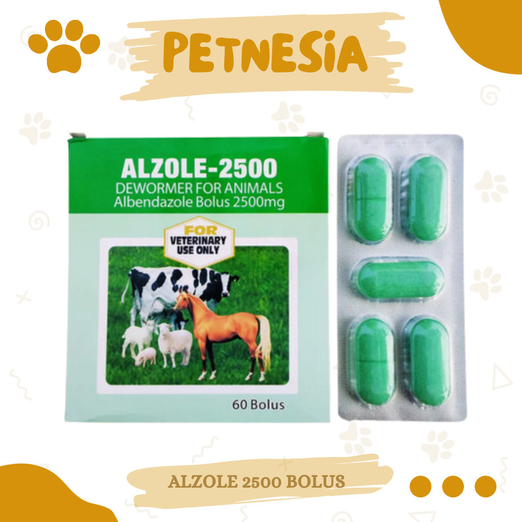 ALZOLE 2500 BOLUS 1 TABLET - Alben 2500  Untuk Masalah Cacing Pada hewan Ternak Sapi Kerbau Bolus