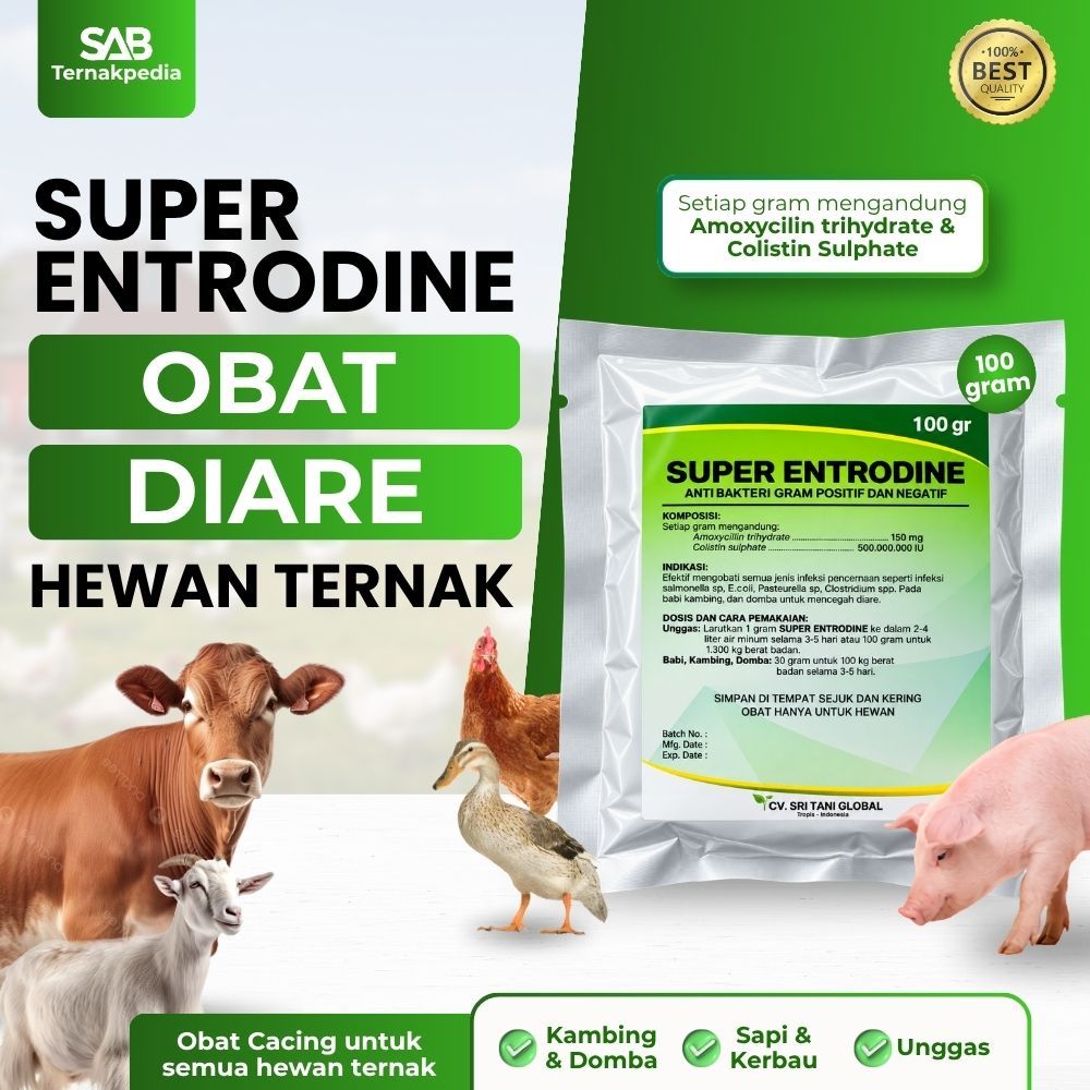 Obat Mencret Ternak - Super Enterodine 100 gr - Obat Mencret Ayam - Obat Mencret Kambing Ternak - Ob