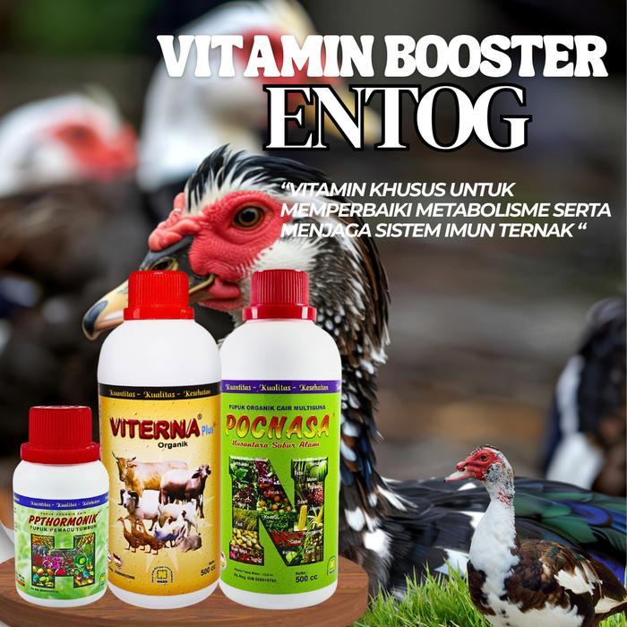 Vitamin Penggemuk Entok / Entog Viterna , POC Nasa , Hormonik Vitamin Entok Ternak