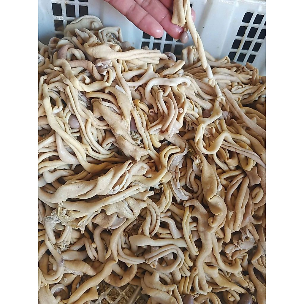 usus ayam mentah 1 kg