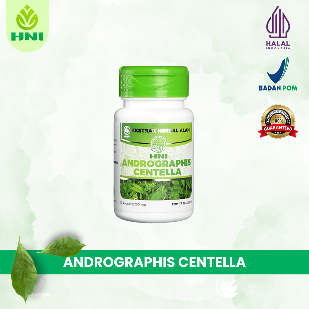 Andrographis Centela HNI HPAI - Herbal Radang Paru , Liver/Hati , Sakit Demam