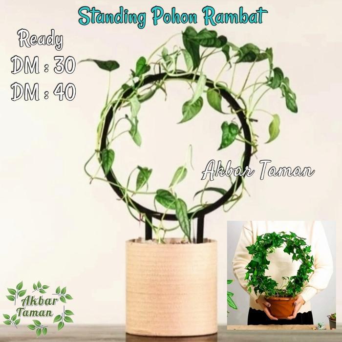 (READY STOK) Standing Pot Bunga Pohon Rambat Melingkar / Rak Besi Pohon Rambat - Hitam, UKURAN 30 (T