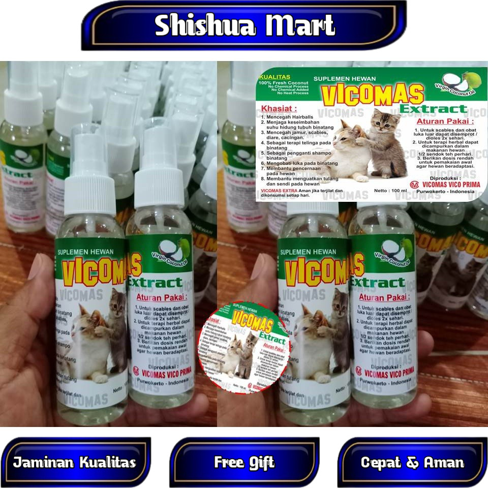 Obat Kucing Lumpuh Kaki Belakang