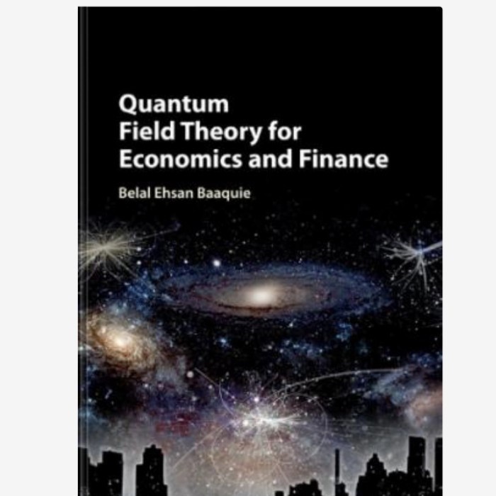 Quantum Field Theory for Economics and Finance
