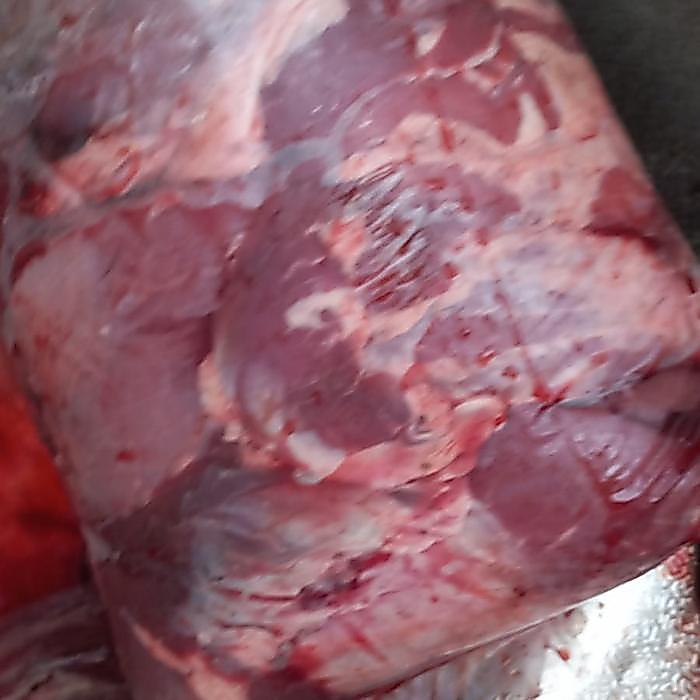 Daging Babi Hutan Segar / 1kg