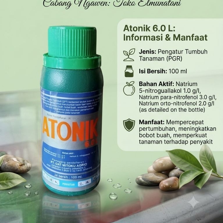 ZPT ATONIK
