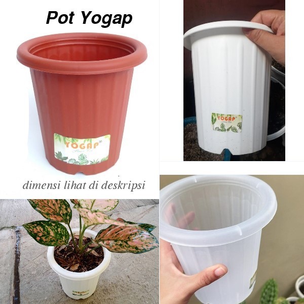 Pot Yogap Pot YPT Yogap 8 Yogap 10 Yogap 13 Yogap 15 Putih, Merah Bata, Transparan Plastik Tanaman H