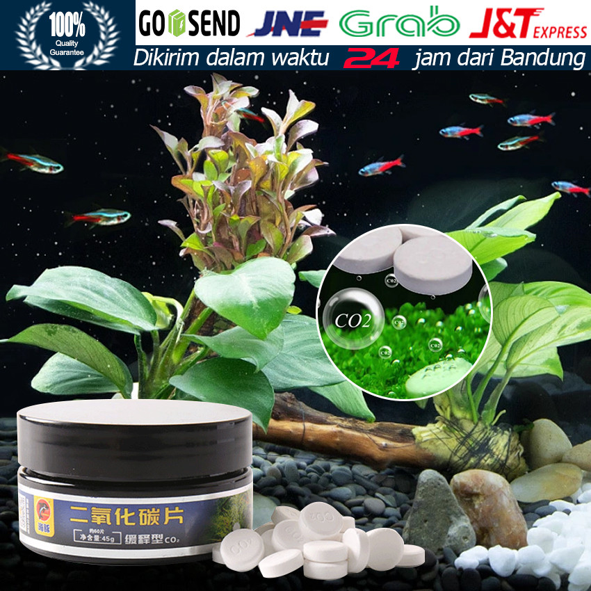 Tablet CO2 / Tablet CO2 Efervesen / Pupuk Untuk Tanaman Air / Tablet Karbon Dioksida / Tablet CO2 Pe