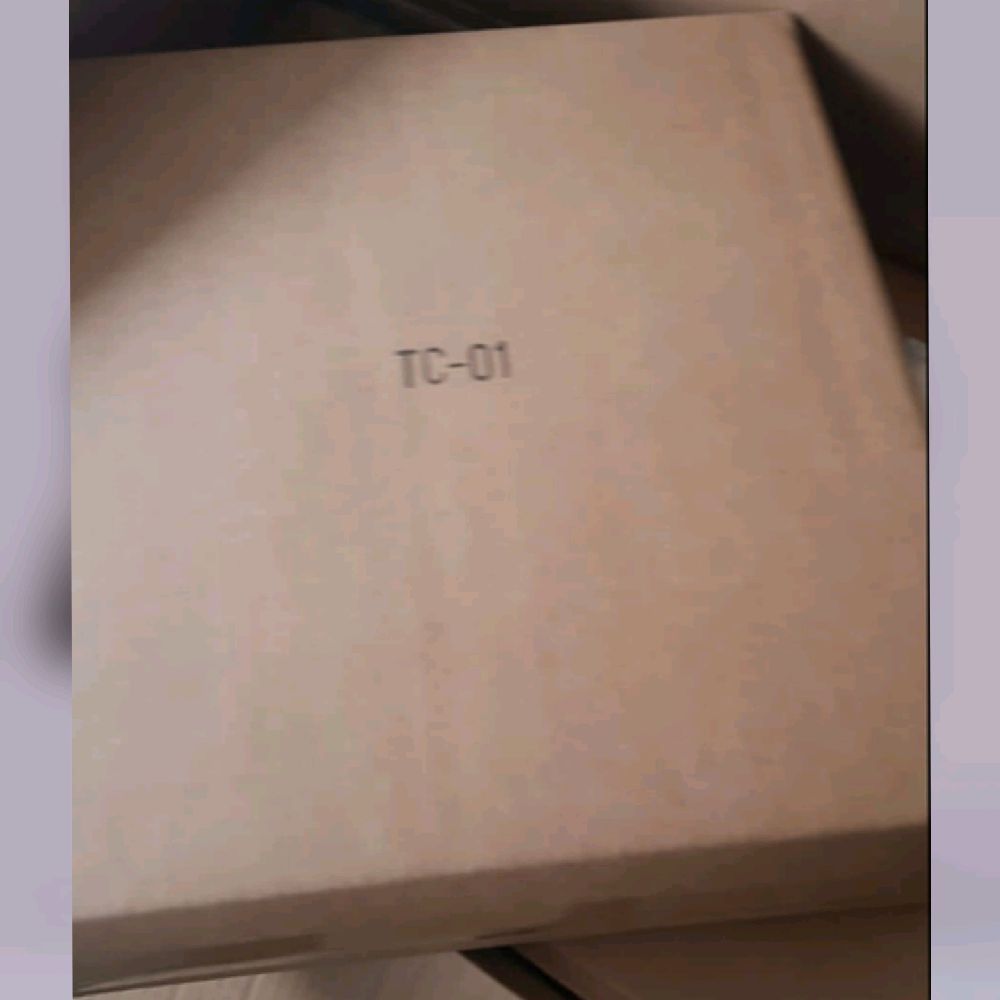 Transcraft TC-01 aka KO OS SS-109 Concept Art Megatron