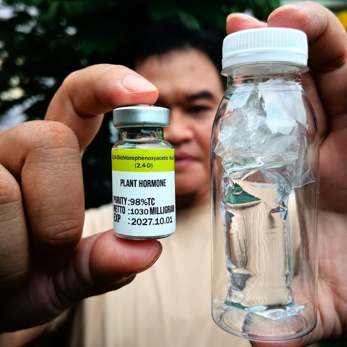 Hormon Tanaman 2,4-D (2,4-Dichlorophenoxyacetic Acid) Murni Serbuk Powder Botol Vial Steril Dan Pela