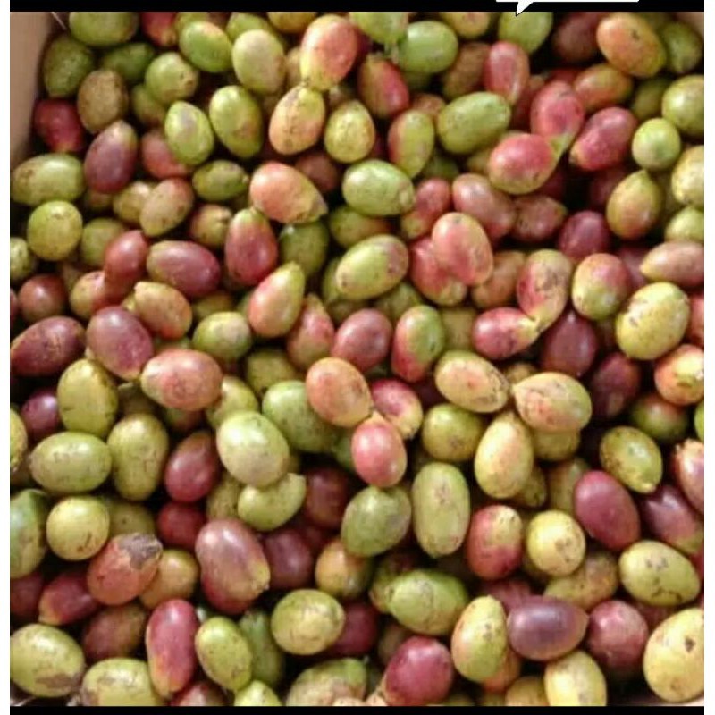 Buah Matoa Manis Fresh 1 kg / 500 Gr Buah Matoak Merah Matoa Super