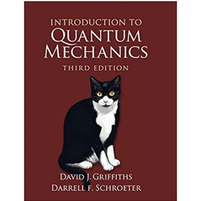 Buku Introduction to Quantum Mechanics