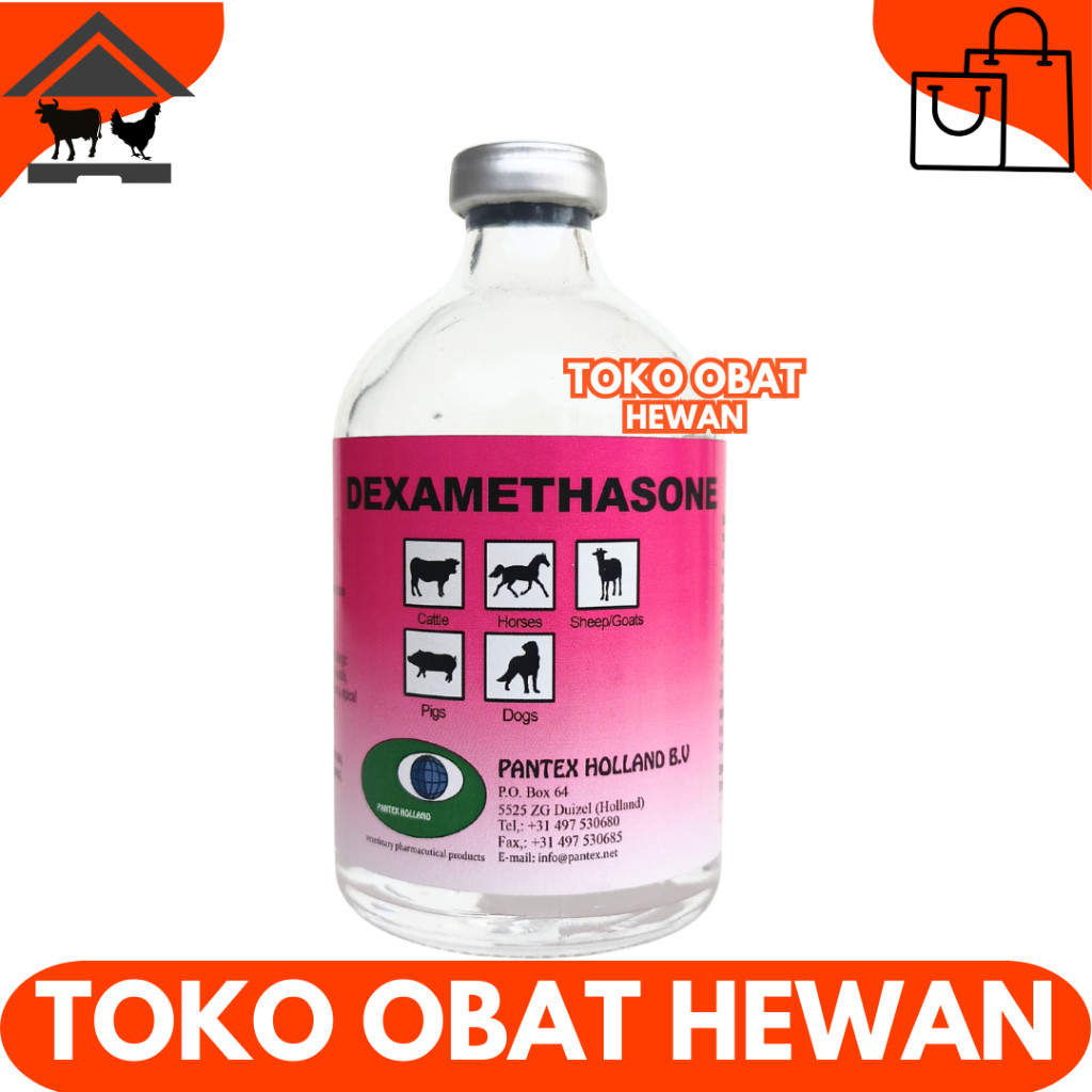PANTEX DEXAMETHASONE 100 ML - Obat Hewan Anti Radang Anti Inflamasi Ternak Sapi Kambing Anjing    BE