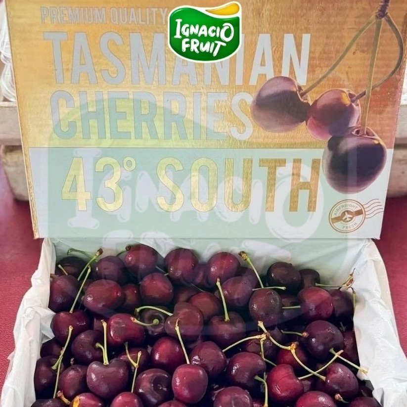 [INSTAN] BUAH CHERRY TASMANIA SOUTH FRESH IMPORT