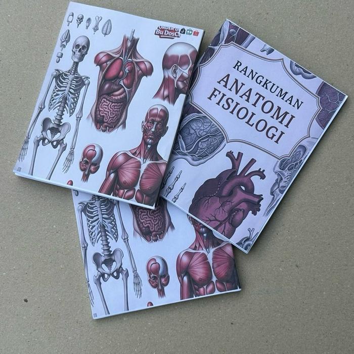 Rangkuman Anatomi Fisiologi - Anfis