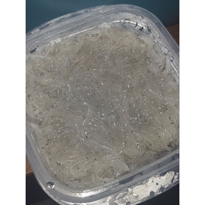 

teri basah mpasi berat 1kg PALING MURAH SEINDONESIA