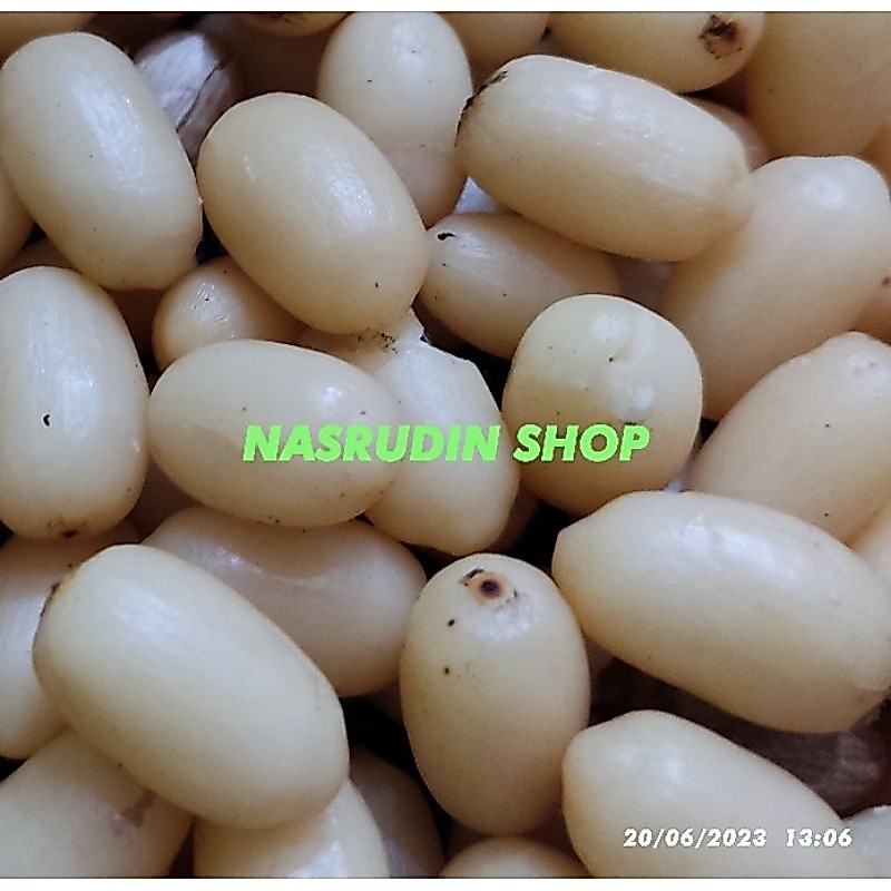 BIJI MELINJO KUPAS BERSIH / BUAH MELINJO KUPAS / MALINJO TANGKIL