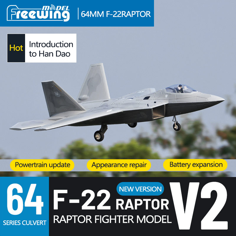 Freewing Flying Wing Model 64mm EDF Ducted Jet F-22 Raptor V2 Replica Model RC Airplane