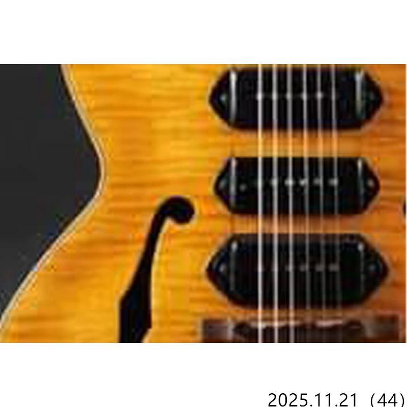 electric guitar Hollow body Archtop Flamed Maple Veneer