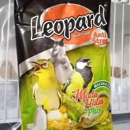 leopard voer halus burung ciblek pleci dll