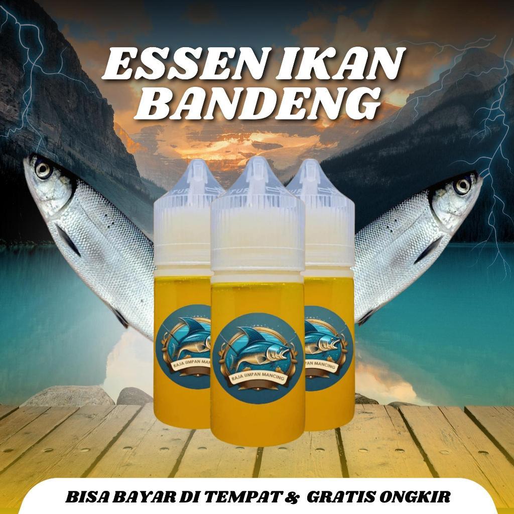 Essen Ikan Bandeng Air Tawar Air Payau Dan Tambak Paling Jitu Raja Umpan Mancing