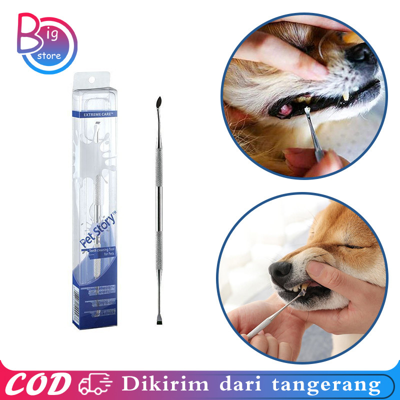 Pet Scaling Tool Karang Gigi Anjing Kucing Teeth Cleaning Tool For Pets Pengerok Karang Gigi Anjing 