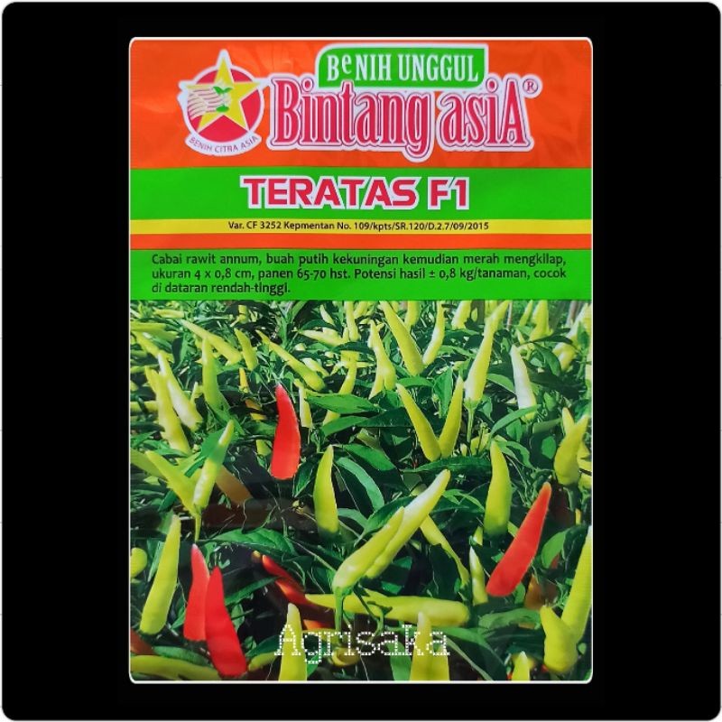 Benih Cabe Rawit Lentera TERATAS F1 10 Gram - Bintang Asia