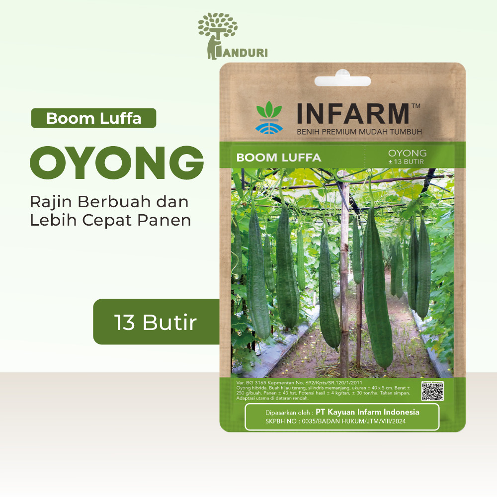TANDURI - Benih Oyong Boomlufa Unggul, Bibit Oyong Hhibrida Super Bibit Sayuran Buah Oyong Premium