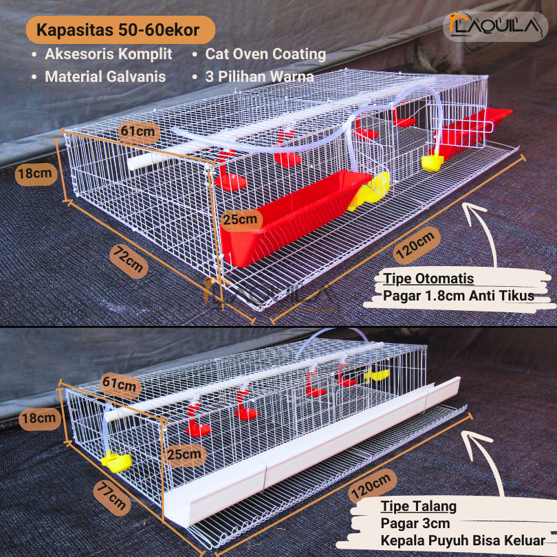 Kandang Galvanis Puyuh Petelur 50 - 60 Ekor