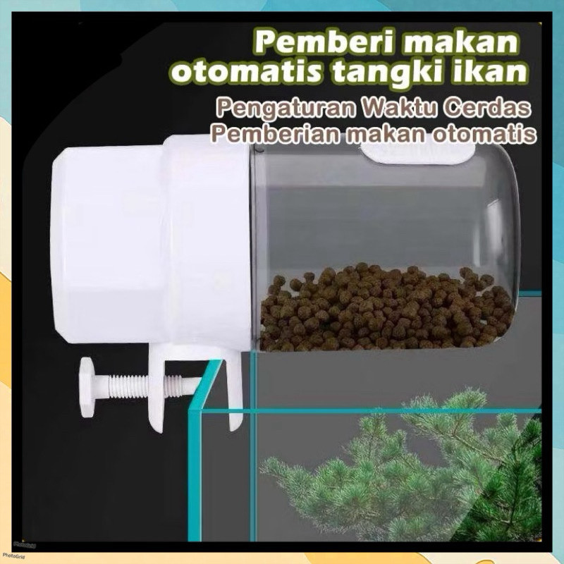 Tempat makan ikan otomatis food timer memberi pakan ikan aquarium otomatis
