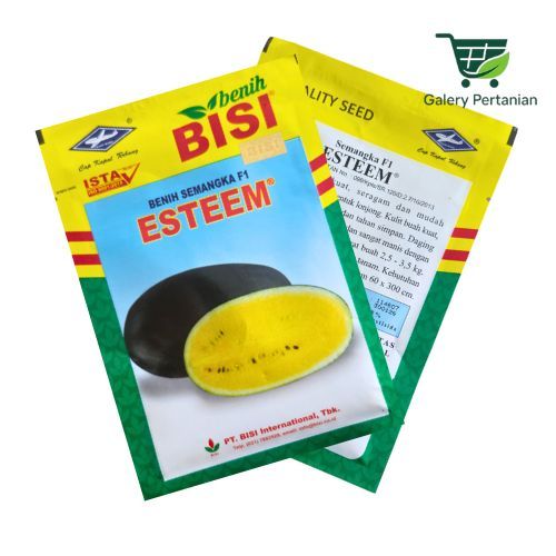 Benih Semangka Esteem F1 20gr Bisi Cap Kapal Terbang Daging Kuning