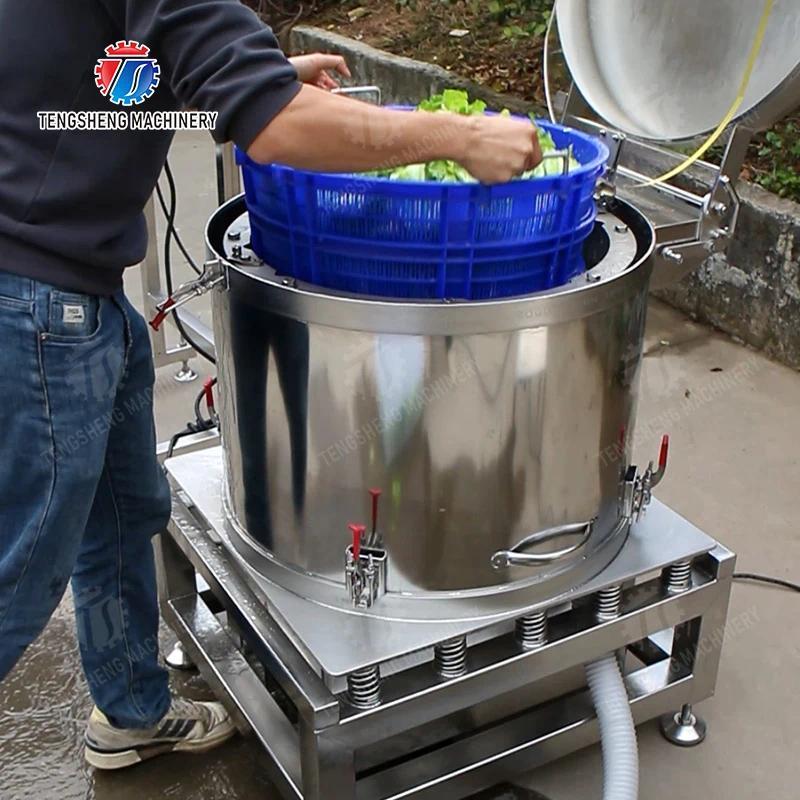 Automatic Tomato Carrot Washer Vegetable Washing Machine Washer Machine