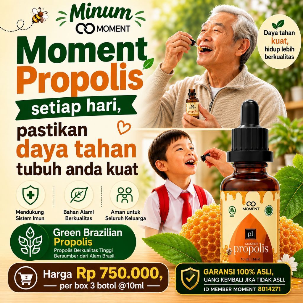 MomentPropolis