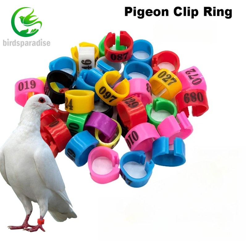 50pcs Ring Klip POLOS buat merpati dewasa RING MERPATI KLIP HARGA Angka acak