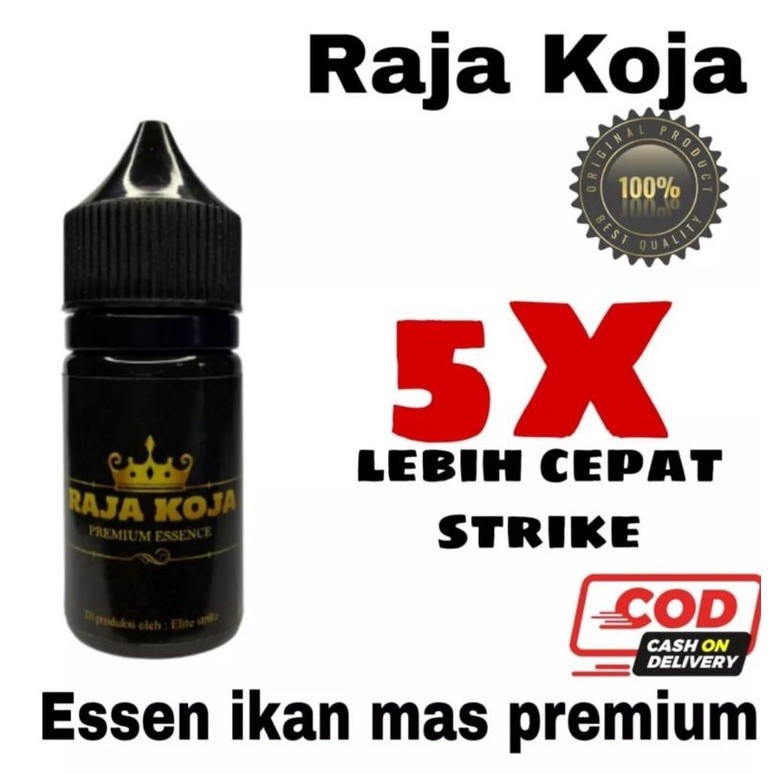 essen raja koja premium essen ikan mas terbaik essen paling bagus si kilo gebru harian
