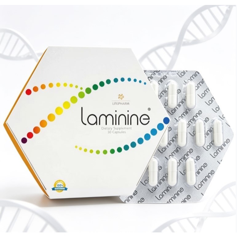 Laminine Stemcell Original 30 Kapsul Original Lifeparam USA Laminine Stemcell Ori 100%