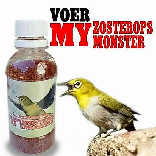 VOER PLECI RED ZOMO