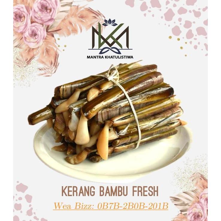 KERANG BAMBU LAUT FRESH KERANG BAMBU CANGKANG SEGAR