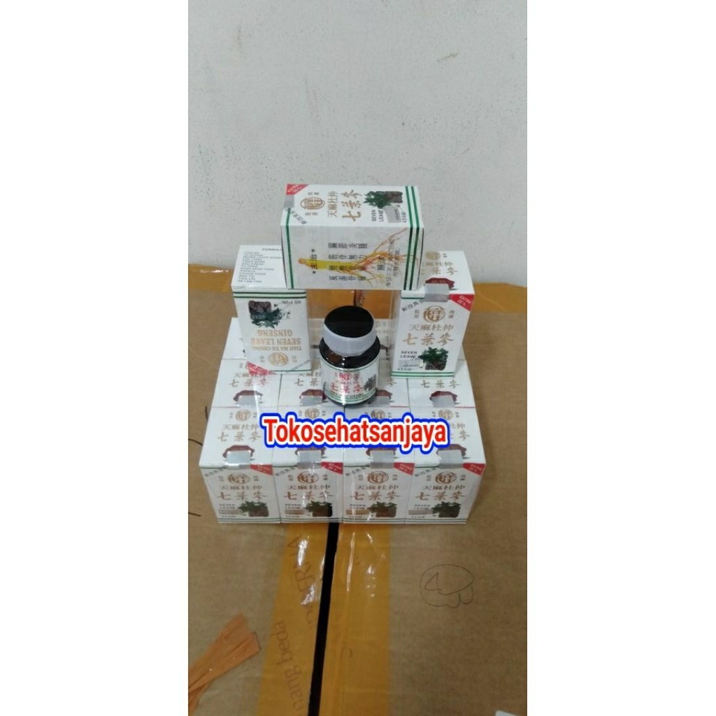 [ASLI PROMO] SEVEN LEAVE GINSENG [ASLI PROMO] asli PP leave seven ginseng perbotol ( 1 pcs )