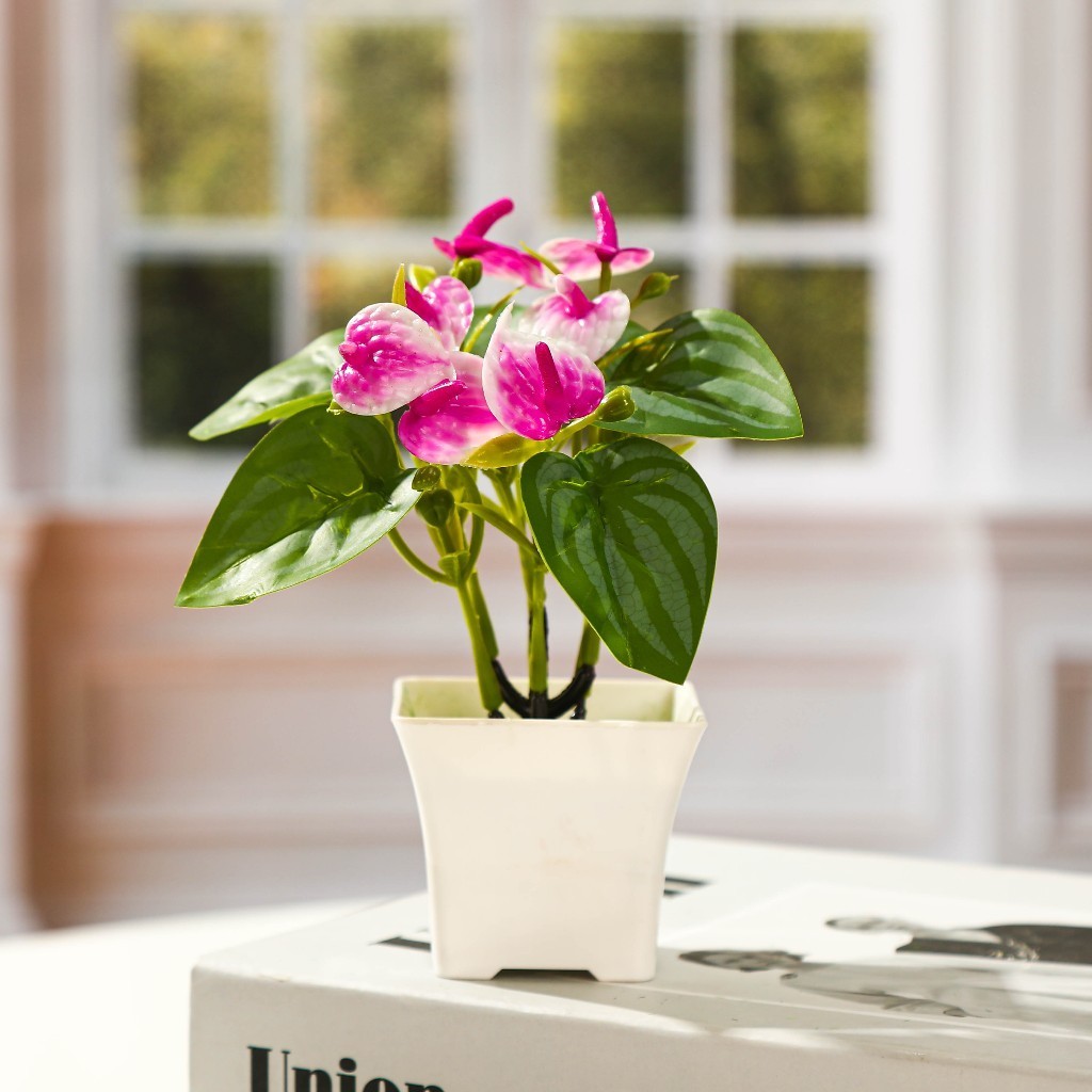 Pot Bunga Hias Plastik  Tanaman Bonsai Ornamen Dekorasi Rumah Anthurium Merah Alocasia Kenting Kecil