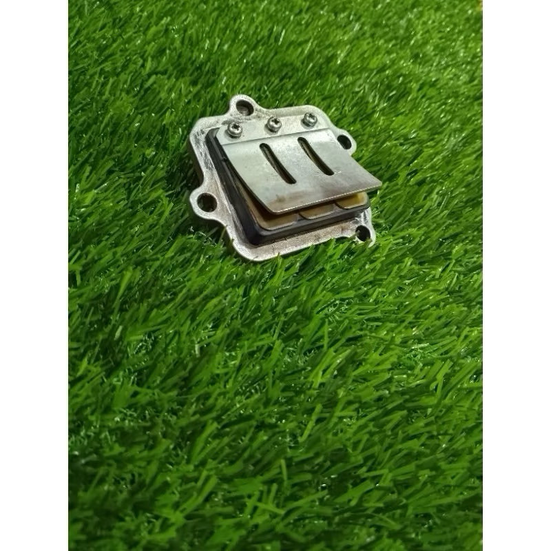 membran fiz r original