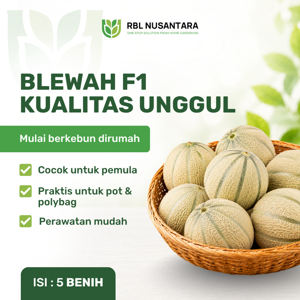 RBLN - Blewah Hibrida Solusi Berkebun di Rumah