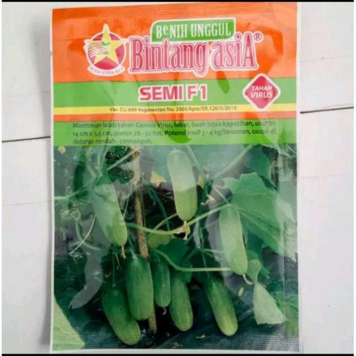PROMO  BENIH TIMUN SEMI F1 - BIBIT MENTIMUN BABY / KECIL Hijau Bintang asia - -