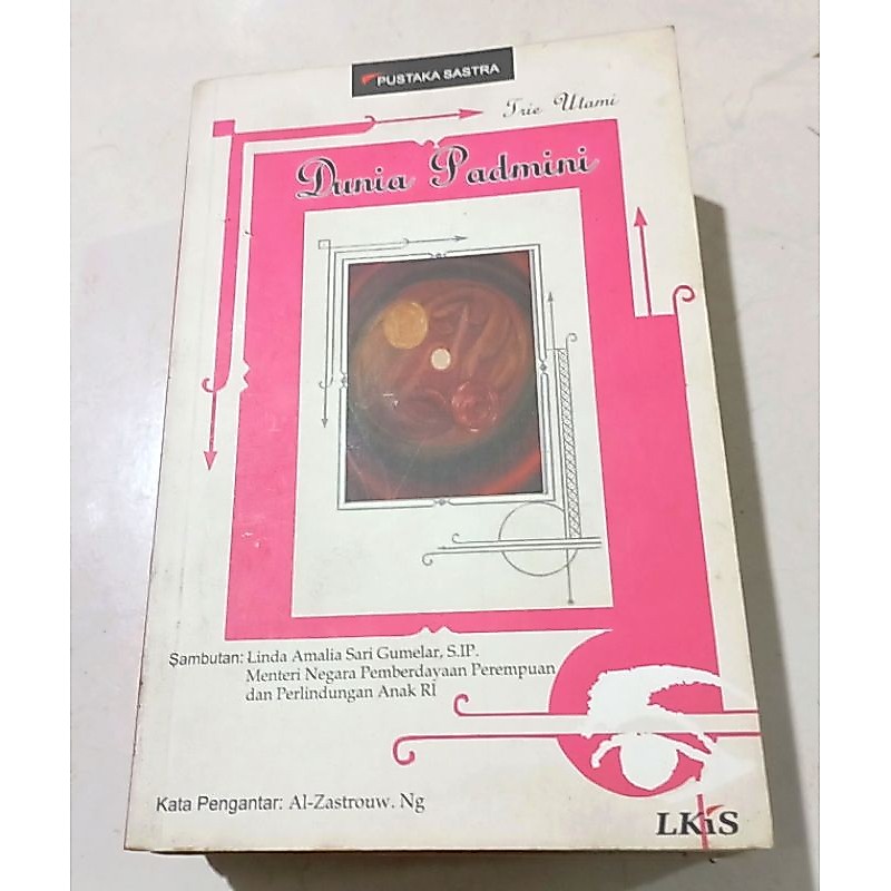 ( OBRAL ) BUKU SEJARAH SASTRA // DUNIA PADMINI // ORIGINAL