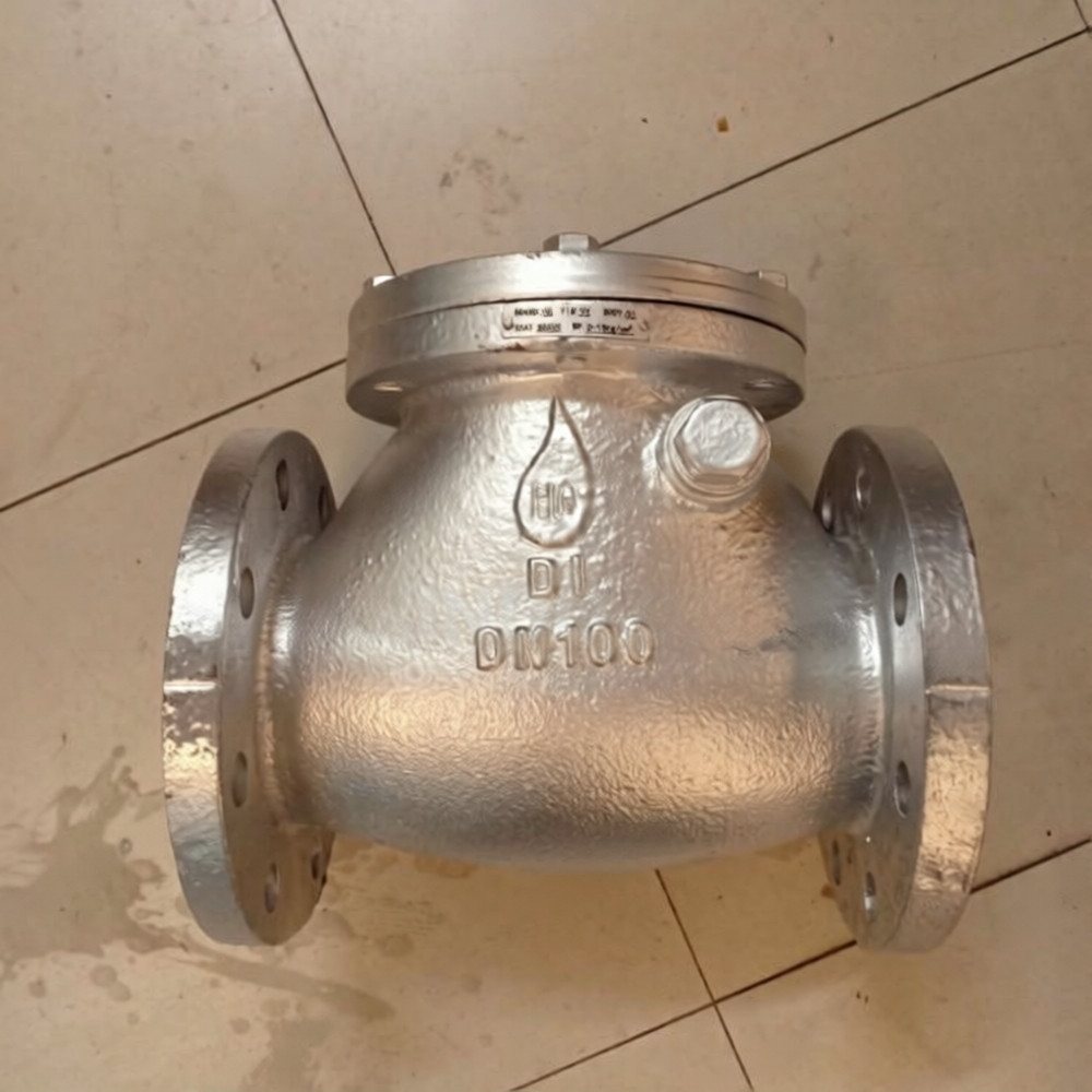 swing check valve 5" inch pn 16 cast iron