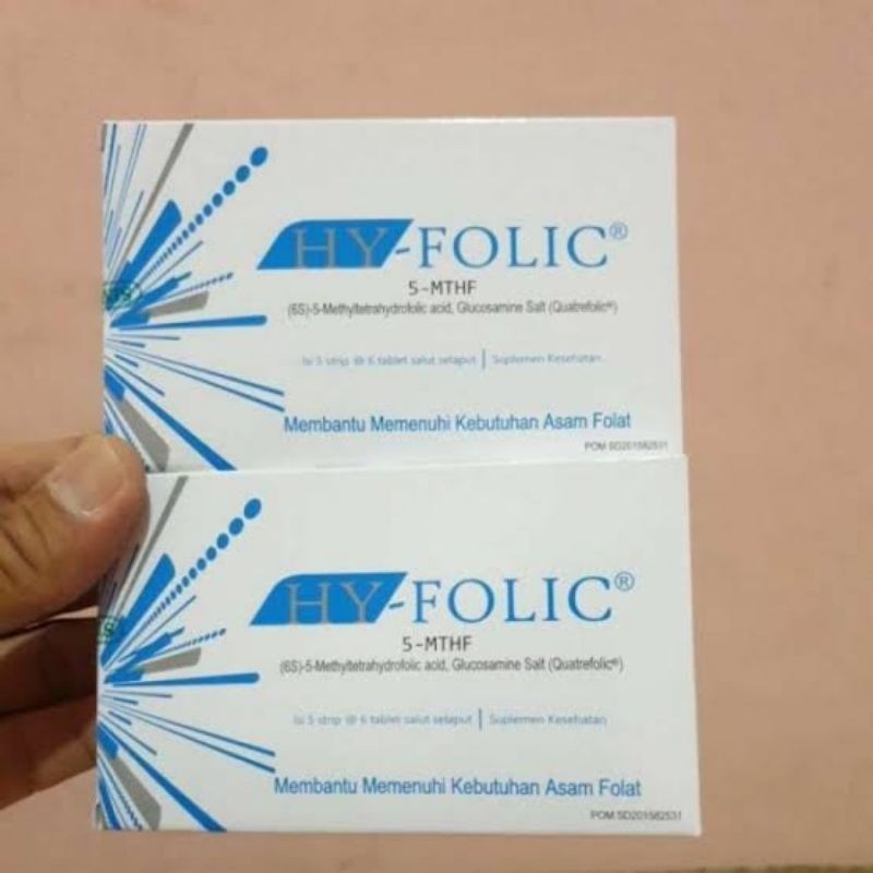 Original Hy-Folic / Hy Folic Folic Acid Vitamin Ibu