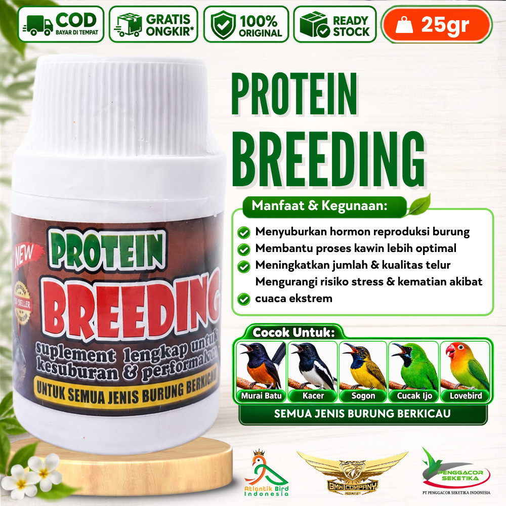 Protein Breeding Burung Penangkaran Breeding Indukan dan Telur Vitamin Burung Breeding Aktif Mental